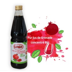 JUS DE GRENADE FERMENTE BIO