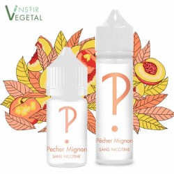 PÊCHER MIGNON INSPIR 60ML