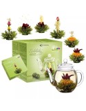 COFFRET FLEURS DE THE VERT